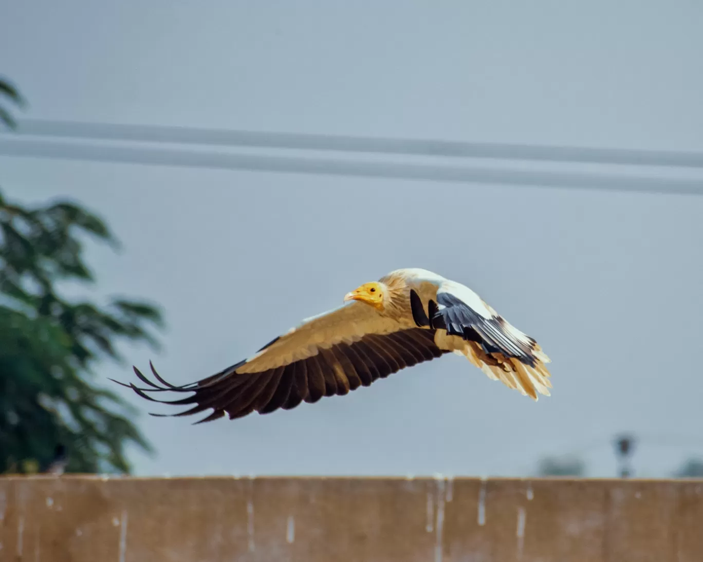 Photo of Ayodhya Nagar Bhopal By Kuldeep Lodhi