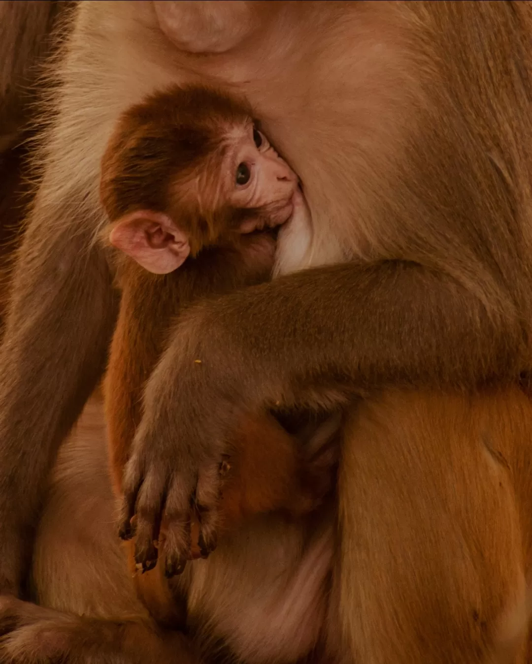 Photo of Van Vihar National Park By Kuldeep Lodhi