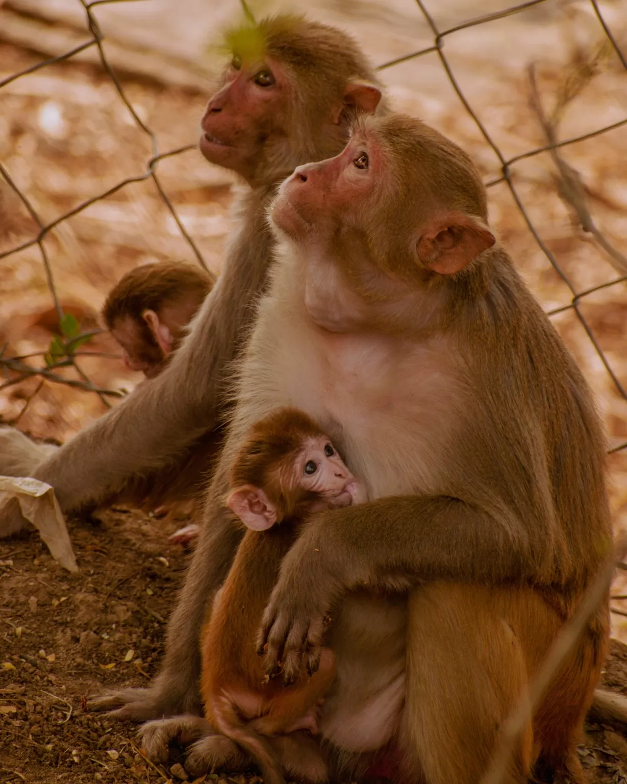 Photo of Van Vihar National Park By Kuldeep Lodhi