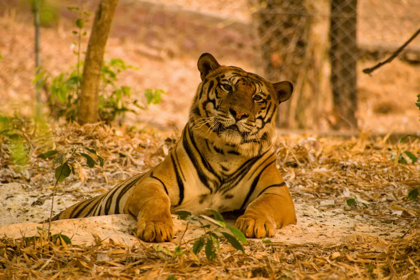 Photo of Kanha National Park By Kuldeep Lodhi