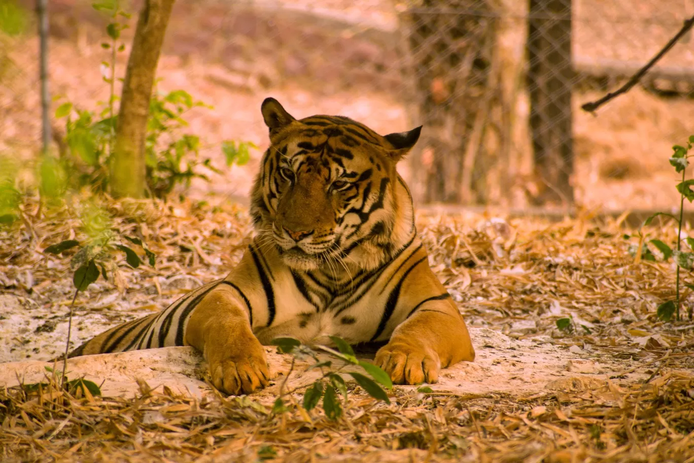 Photo of Kanha National Park By Kuldeep Lodhi