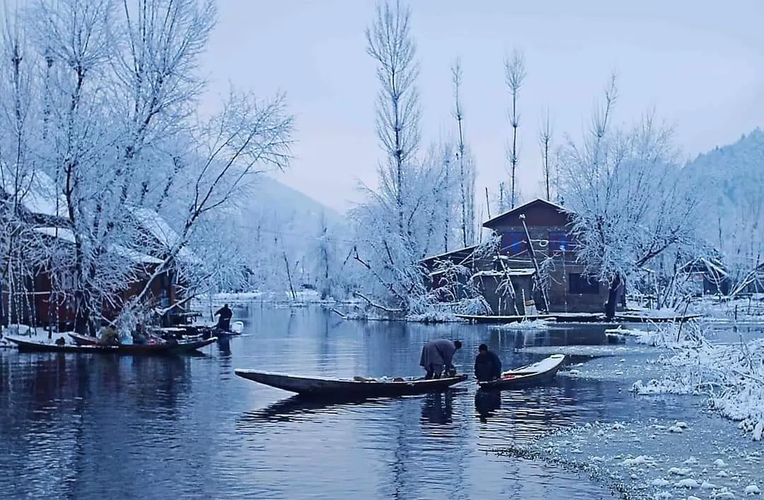 Photo of Dal Lake By Mohit Aggarwal