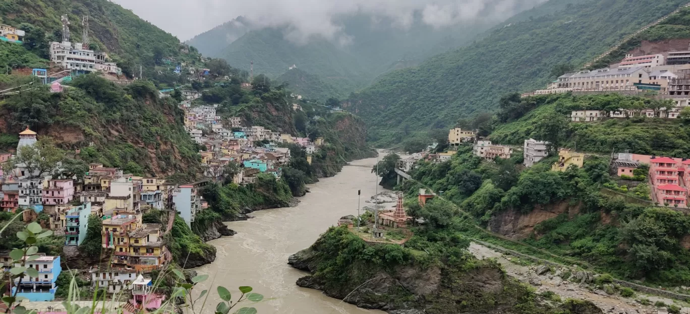 Photo of Valley Of Flowers By Megha Goyal