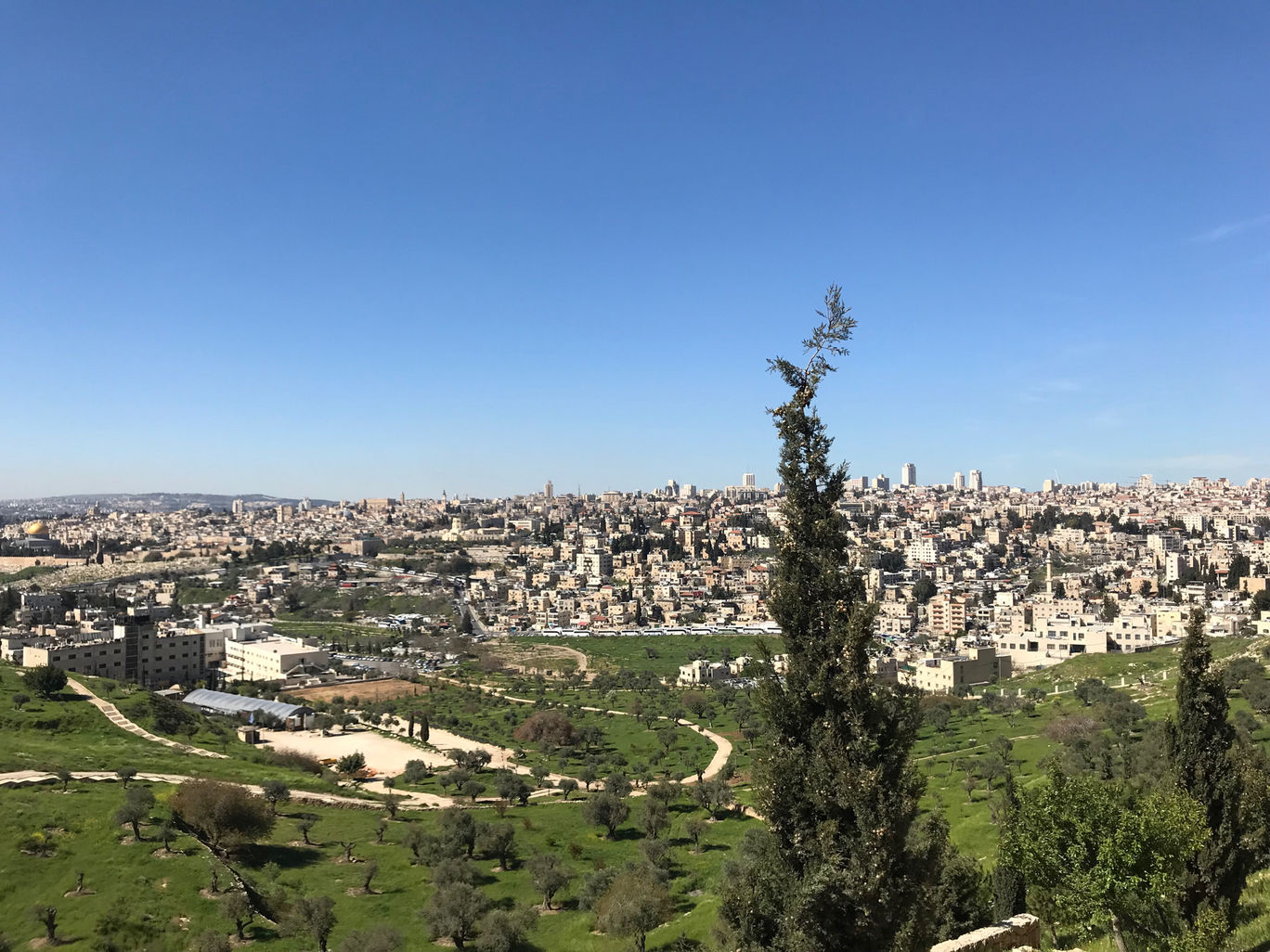 Photo of The Holy Land: Jerusalem, Palestine, Bethlehem By Aditya Singh