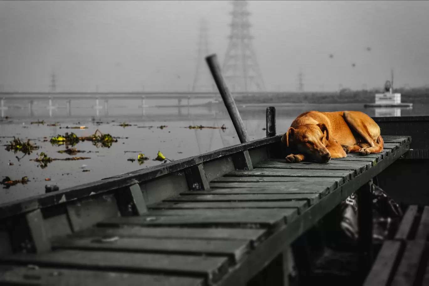 Photo of Yamuna Ghat By Badzee