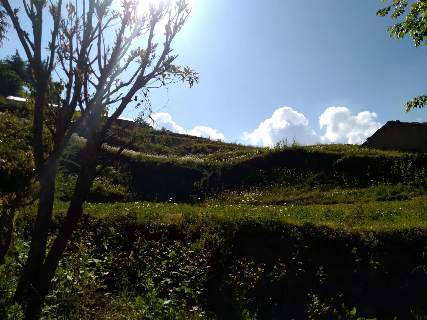 Photo of NagTibba Trekking By Kartik Rauthan