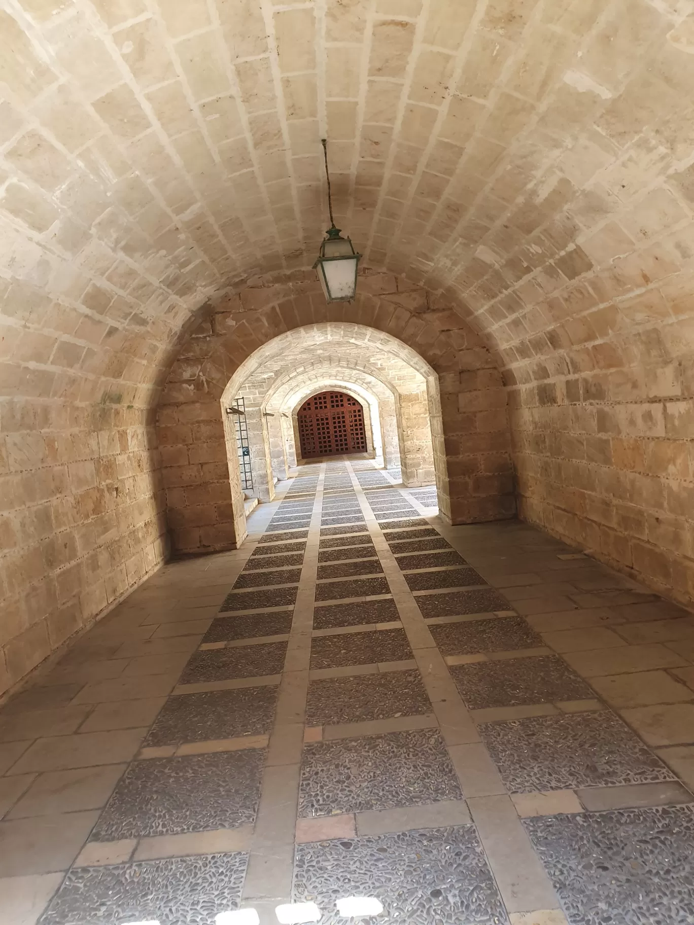Photo of Palma By Anitha Dhasarathan