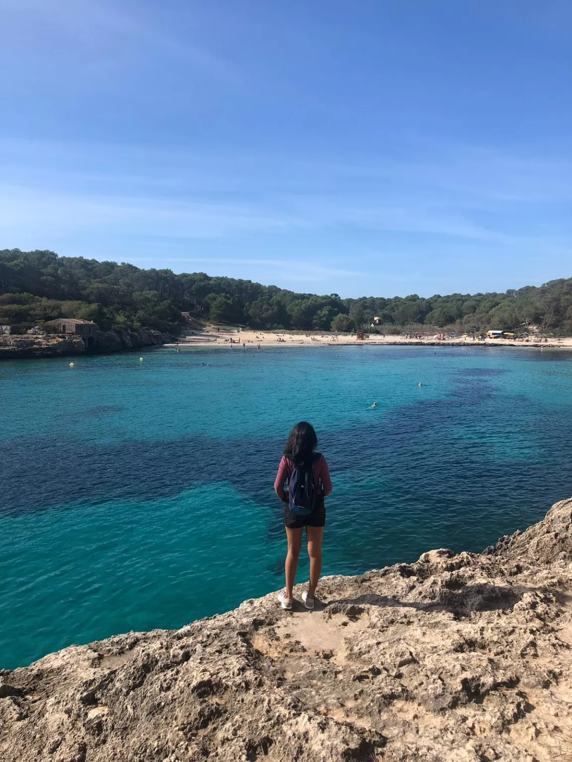 Photo of Palma By Anitha Dhasarathan