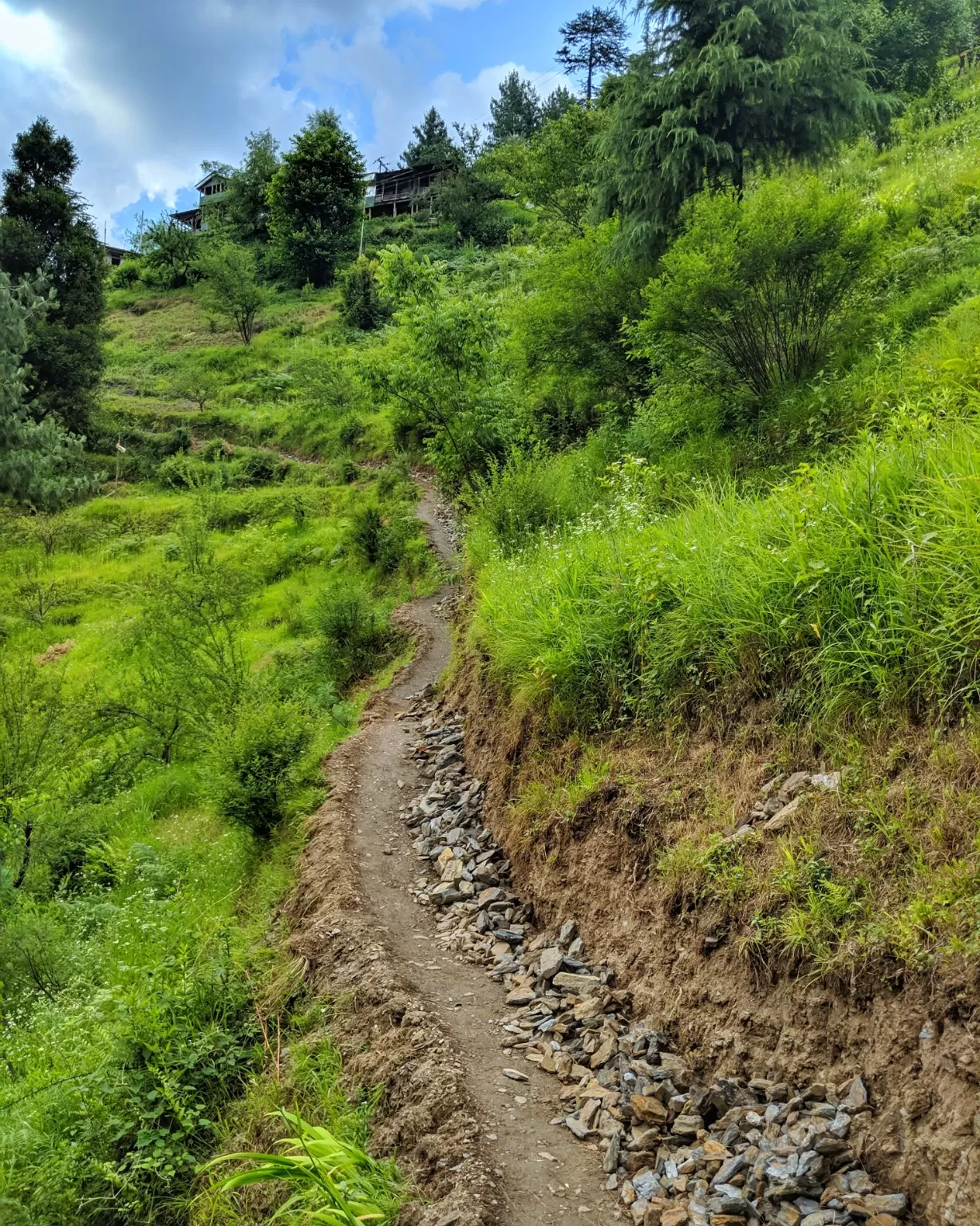 Photo of Tirthan Valley By tejashri