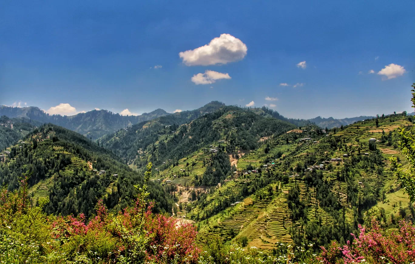 Photo of Tirthan Valley By tejashri