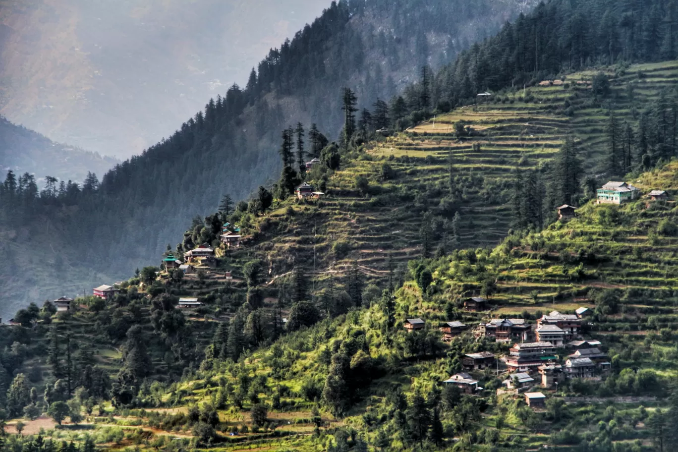 Photo of Tirthan Valley By tejashri