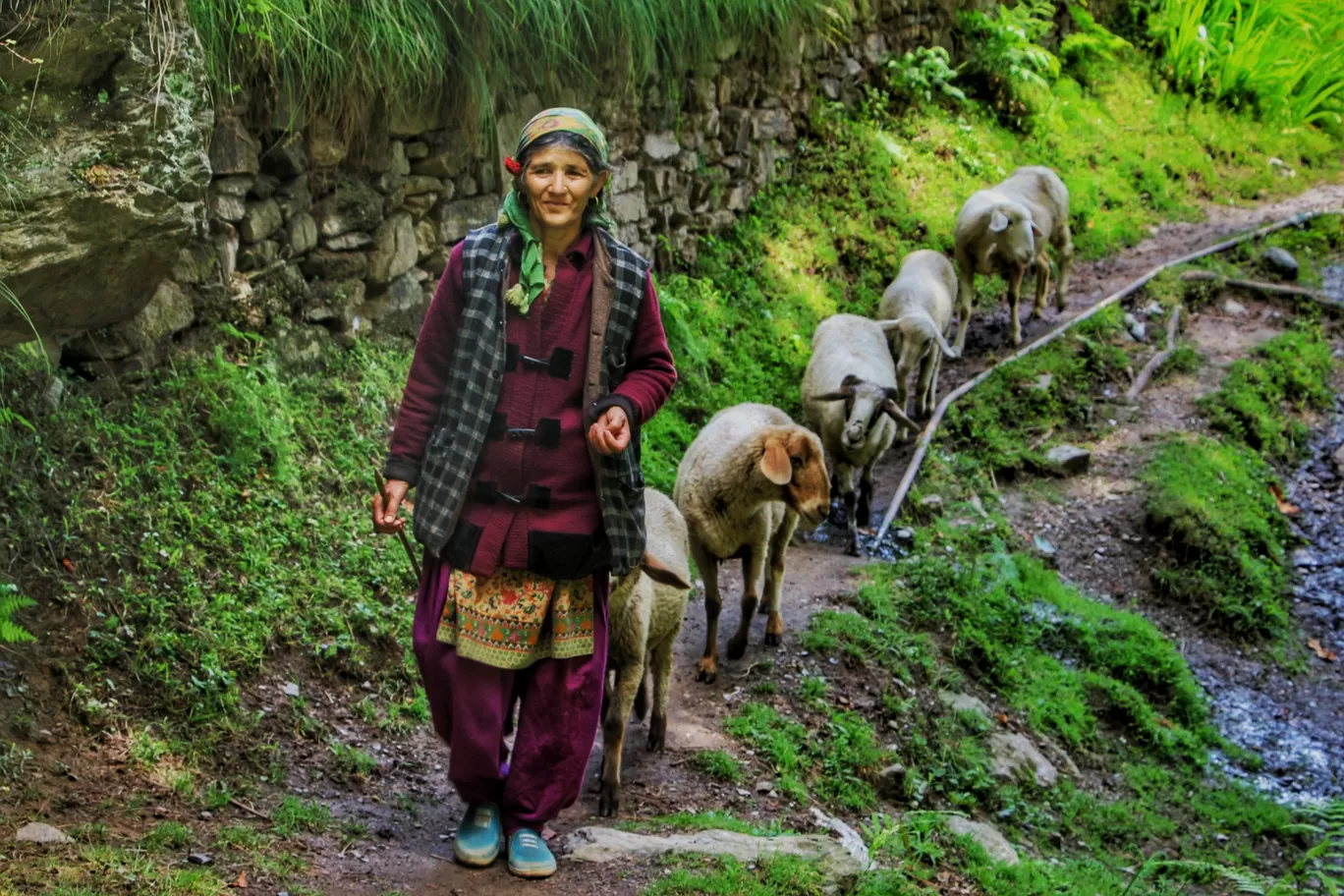 Photo of Tirthan Valley By tejashri