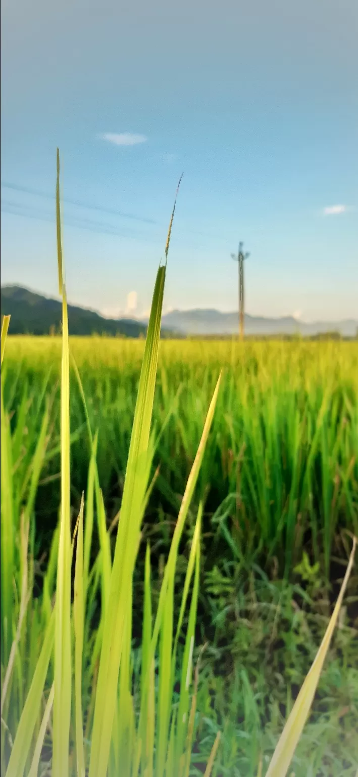 Photo of Dhemaji By Harsh Daga