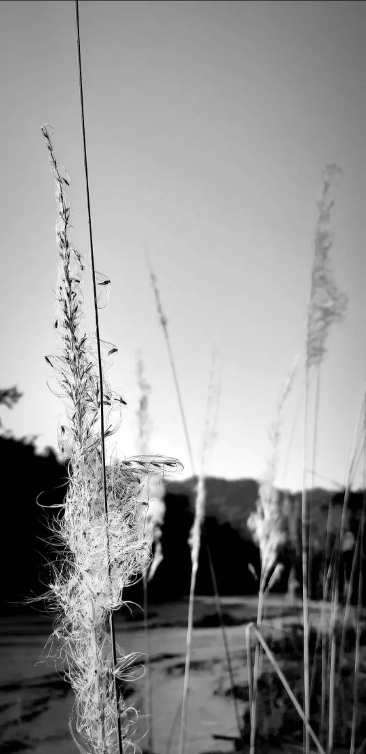 Photo of Dhemaji By Harsh Daga