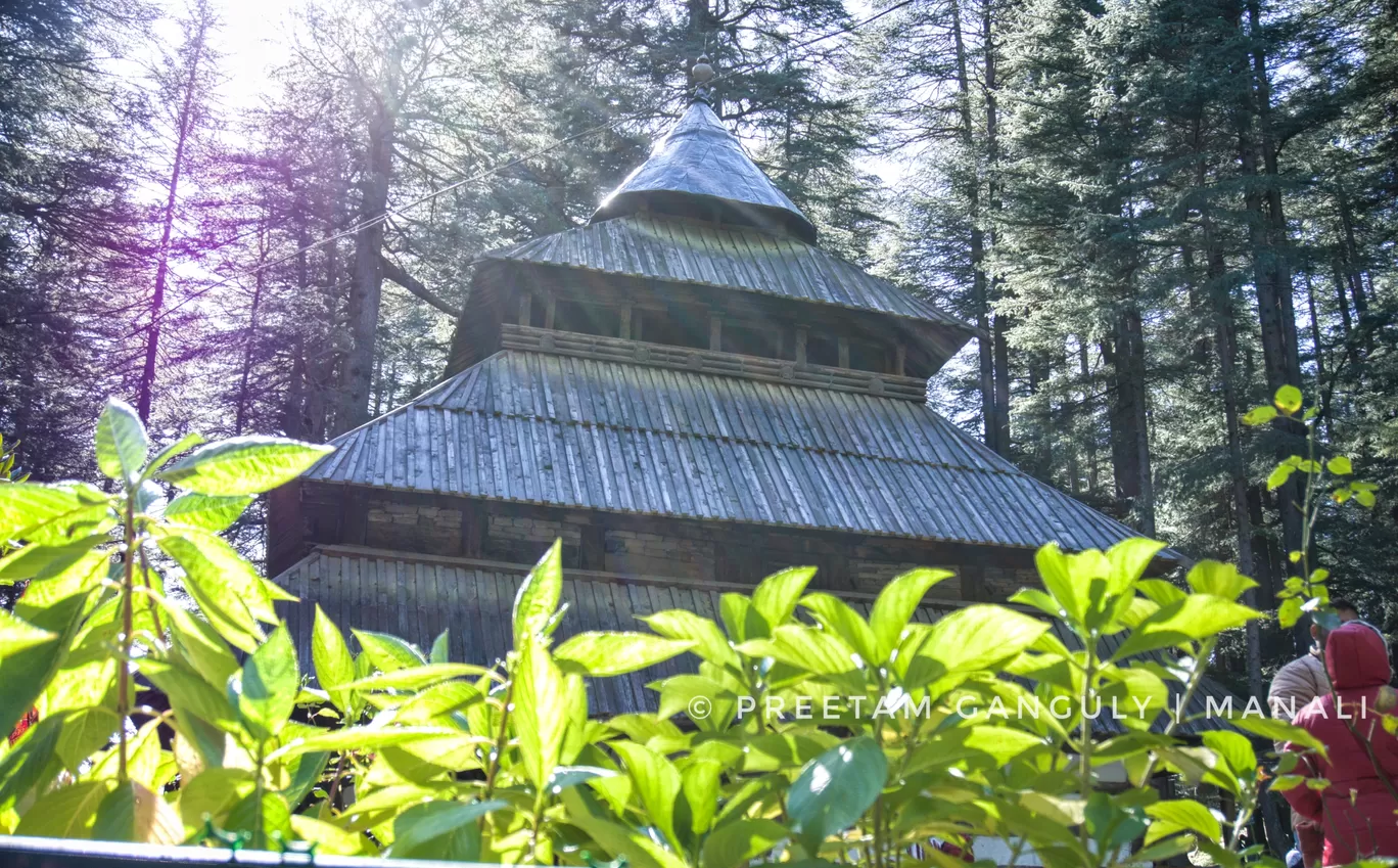 Photo of Hadimba Devi Temple By Preetam Ganguly