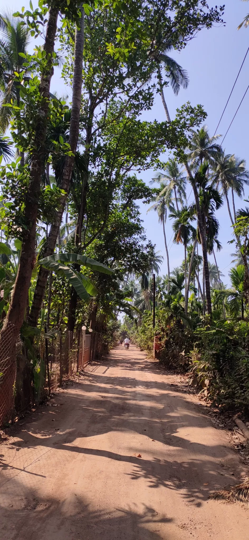 Photo of Diveagar Beach By Rupesh Rahul