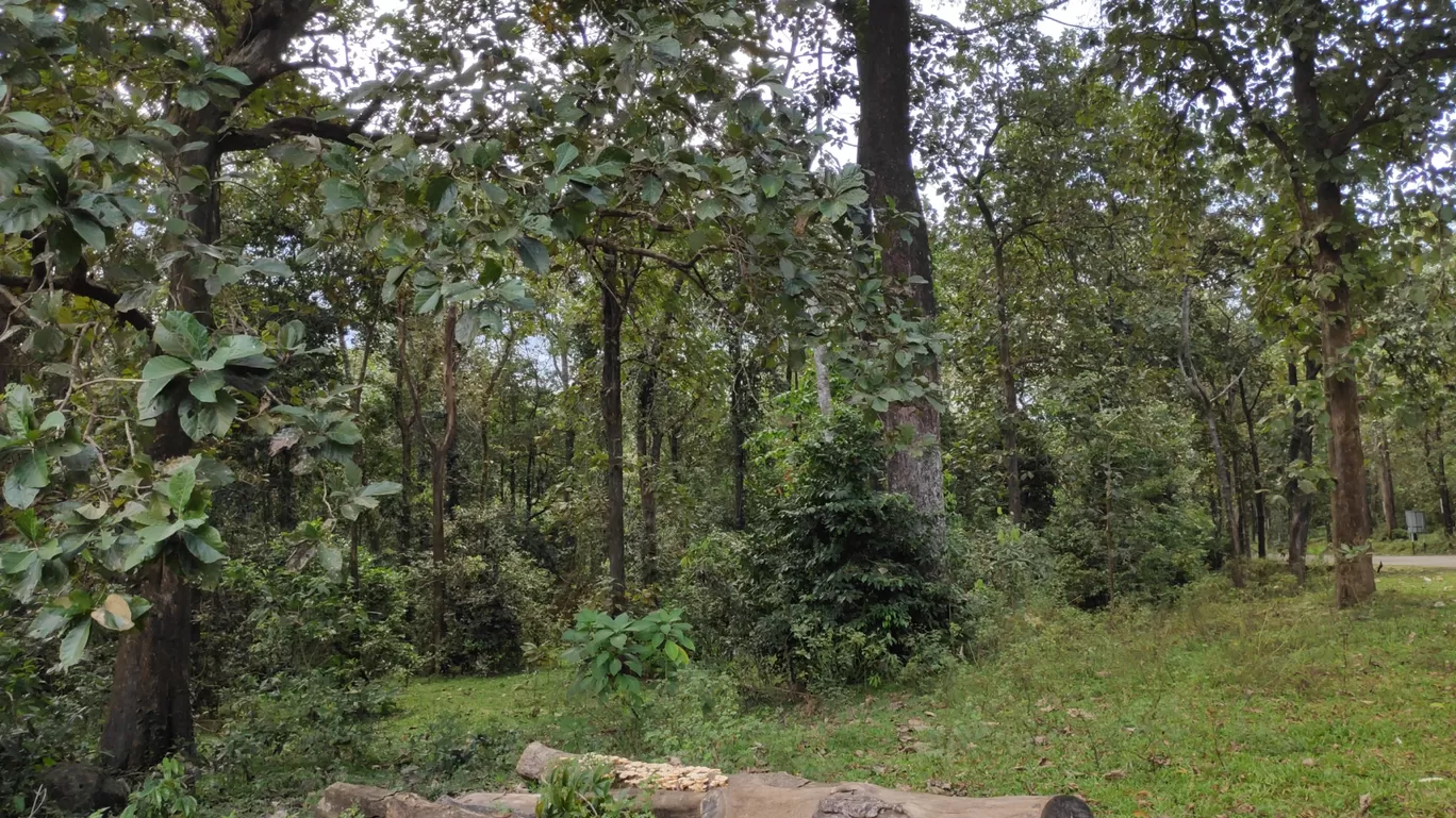 Photo of Pathanamthitta By Anz abdulla
