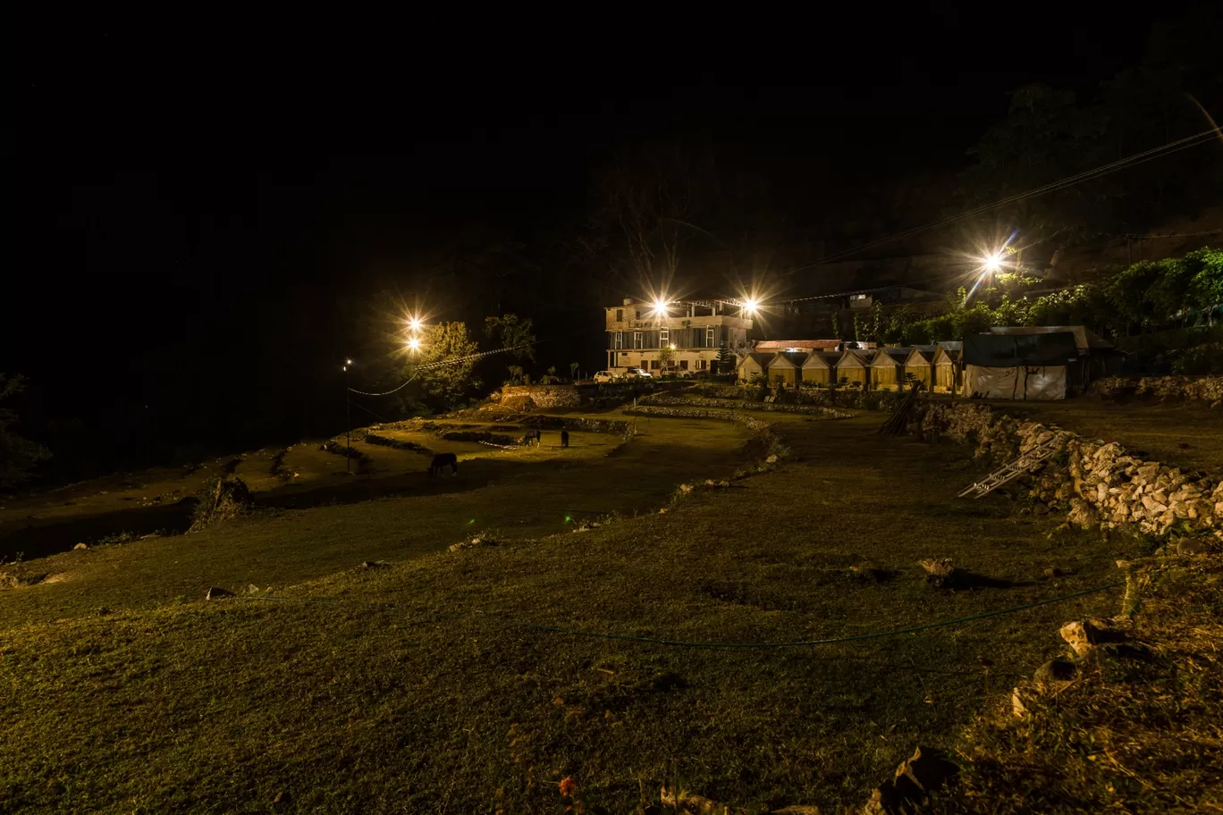 Photo of Vatika Luxury Jungle Camp By rahul kapruwan