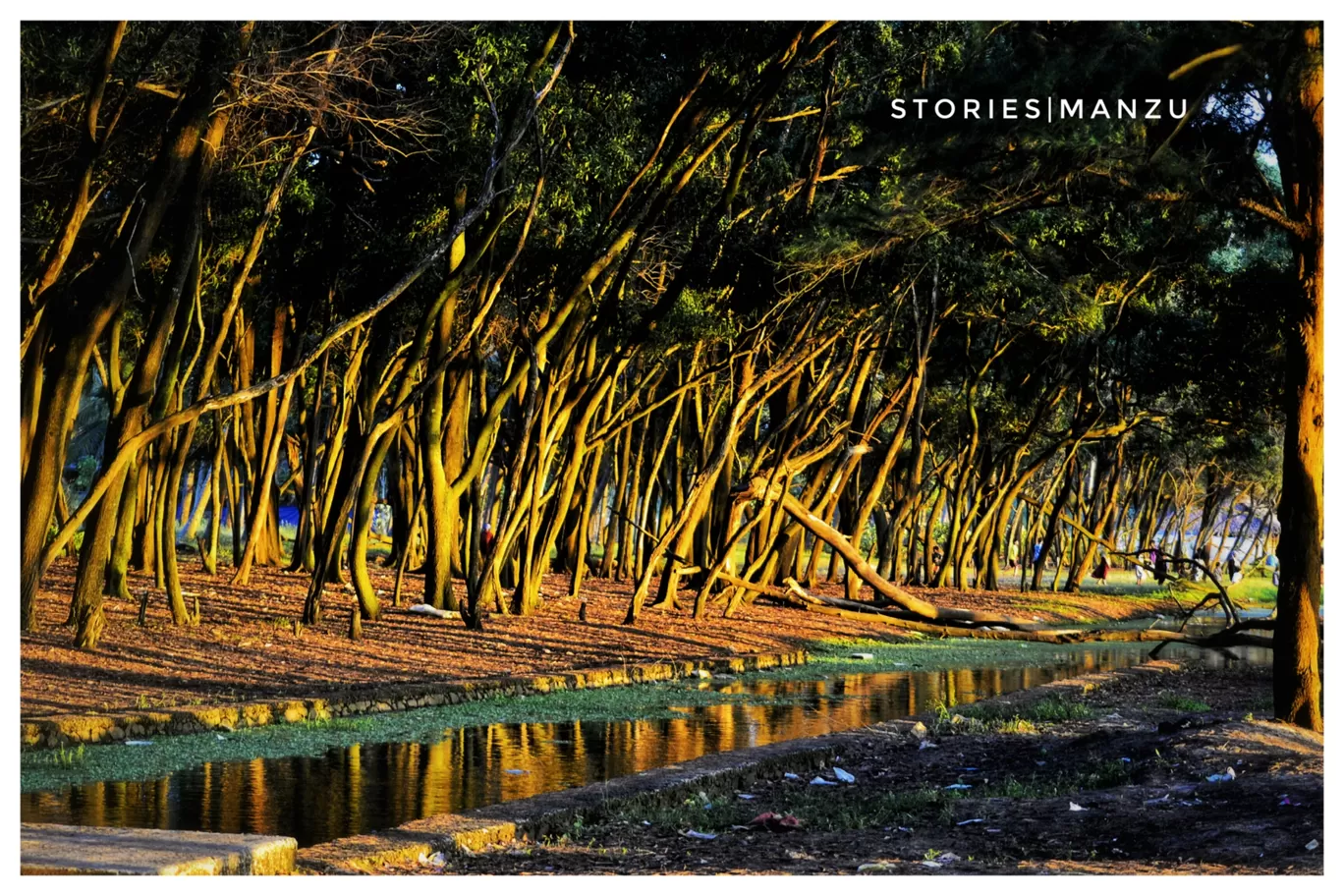 Photo of Perumpadappu - Palappetty Rd By Mansoor K