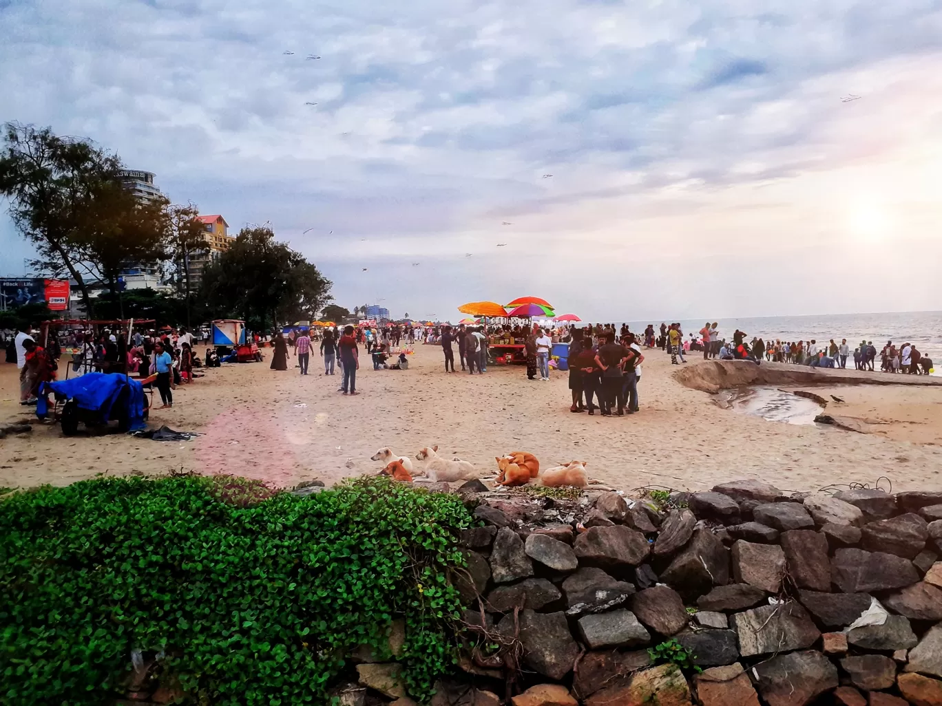 Photo of Calicut Beach By Mansoor K