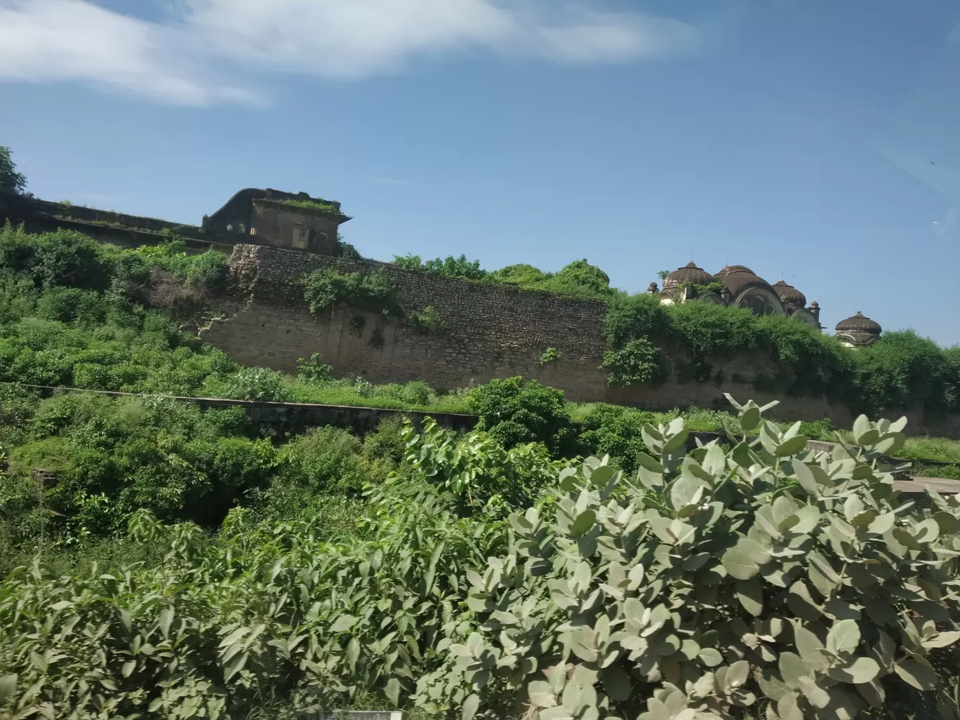 Photo of Panna Tiger Reserve Entry Gate By Abhishek Singh