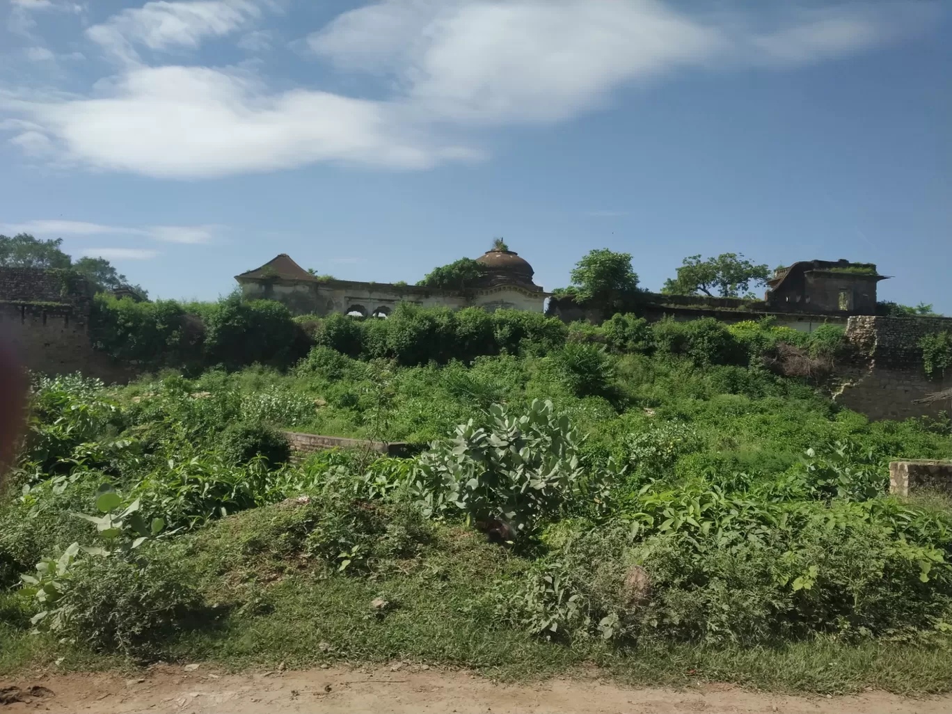 Photo of Panna Tiger Reserve Entry Gate By Abhishek Singh