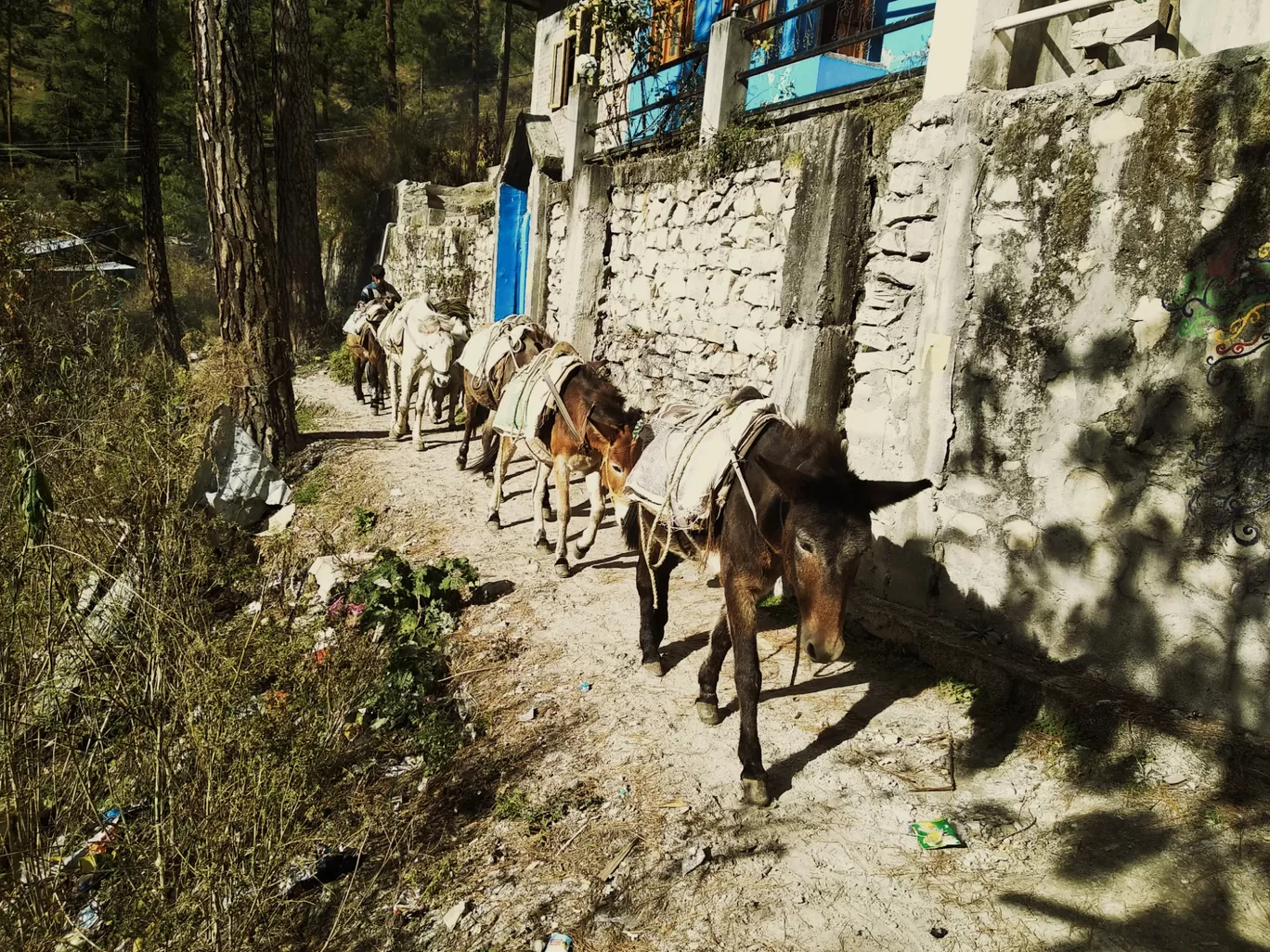 Photo of Kasol By Sagar khande