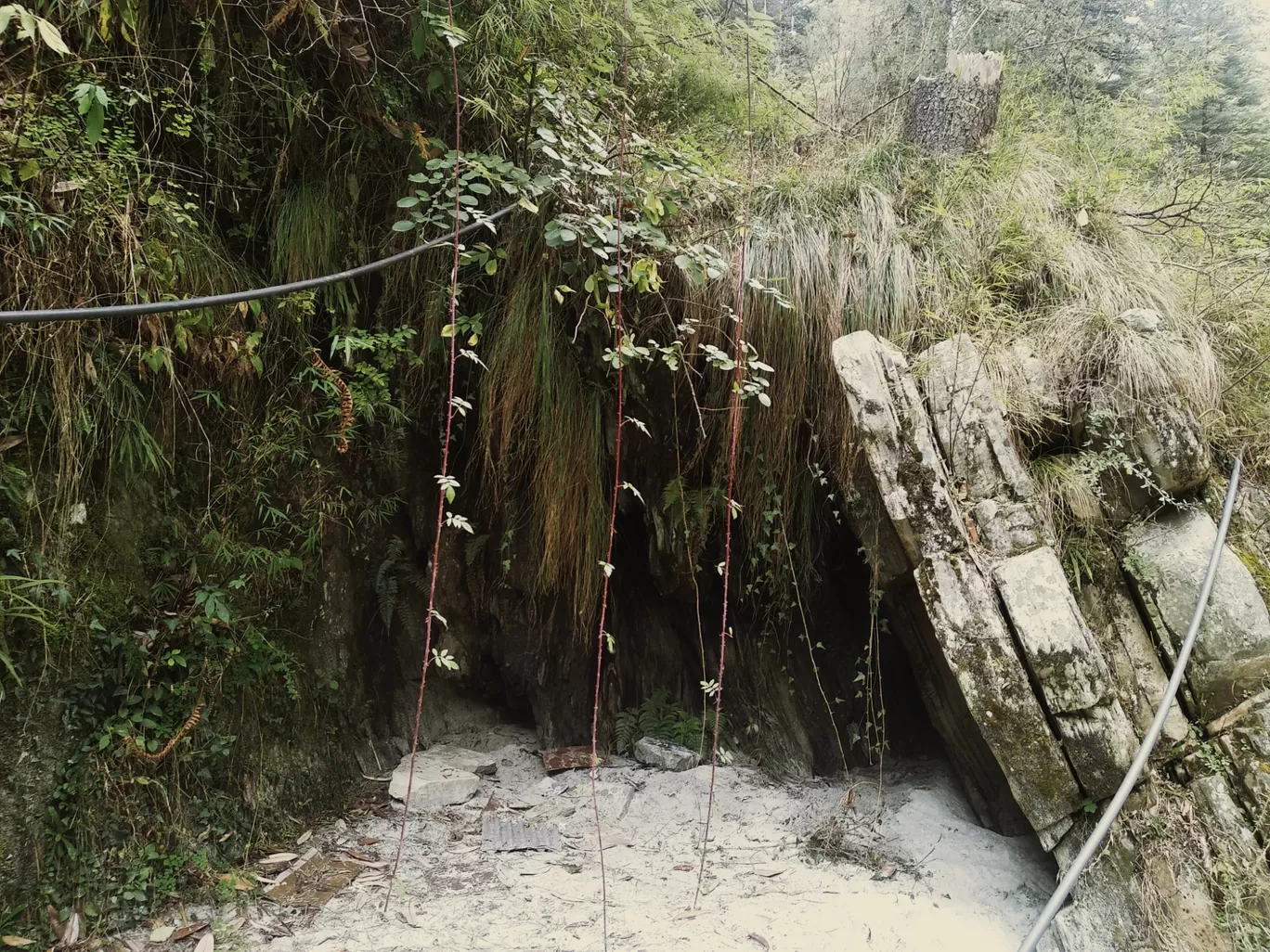 Photo of Kasol By Sagar khande