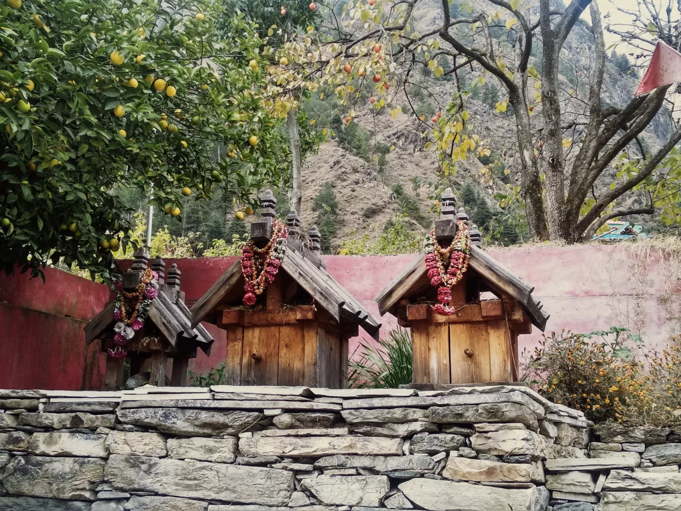 Photo of Kasol By Sagar khande
