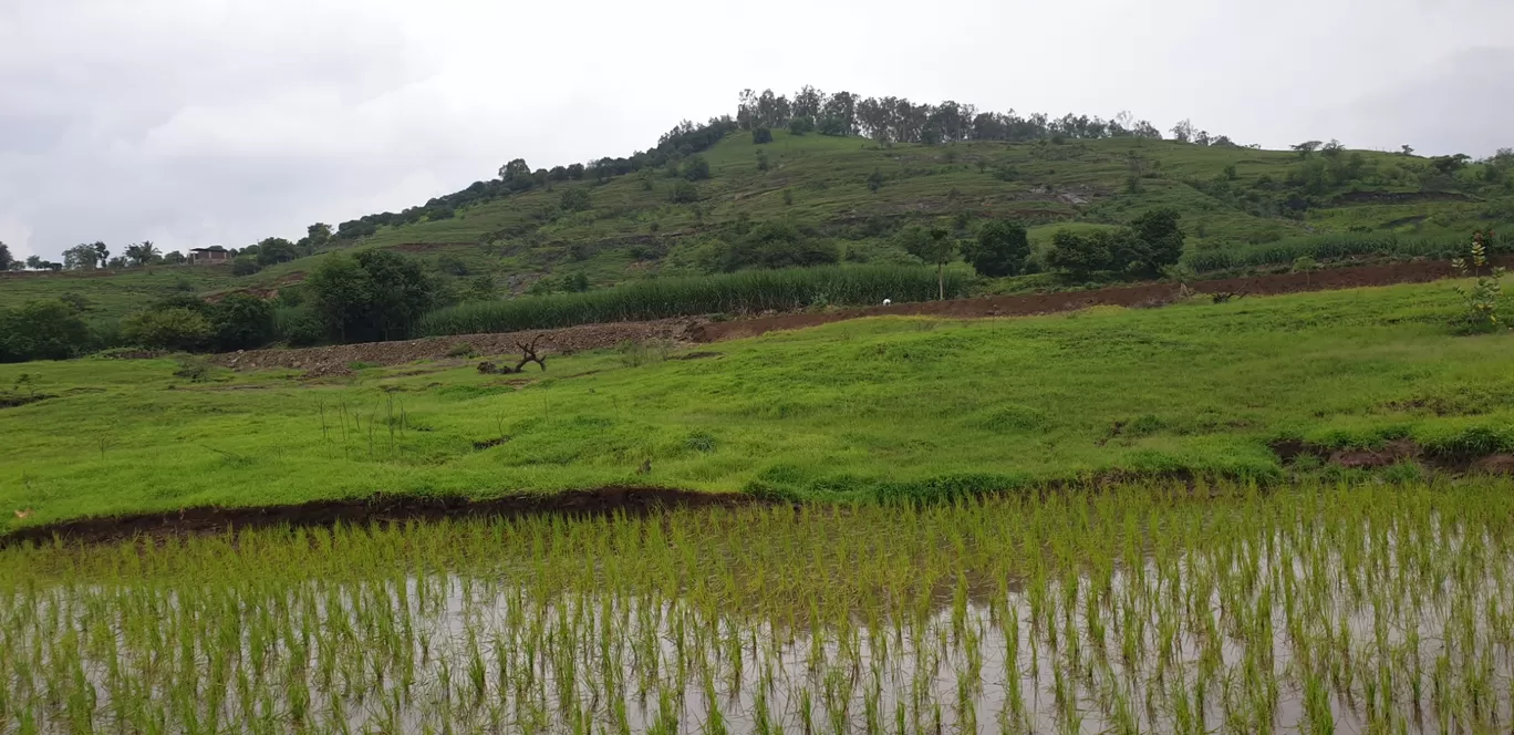 Photo of Tikona Fort By Prithviraj Chowdhary