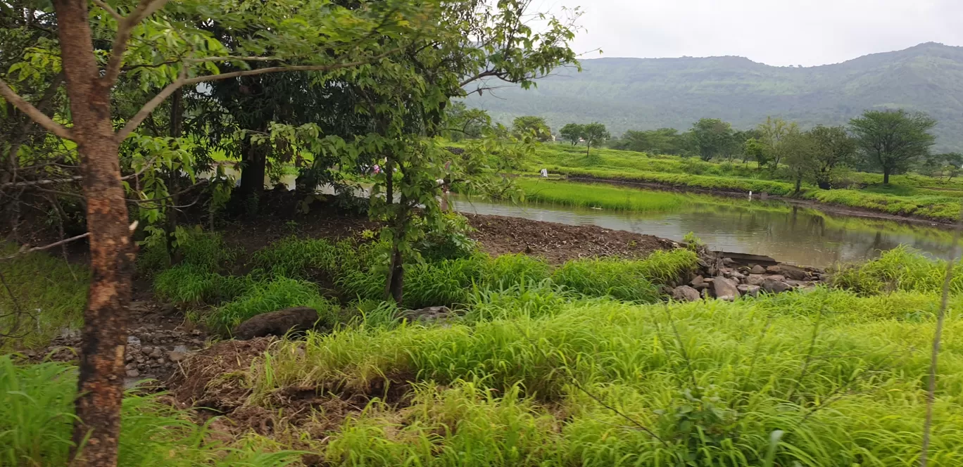 Photo of Tikona Fort By Prithviraj Chowdhary