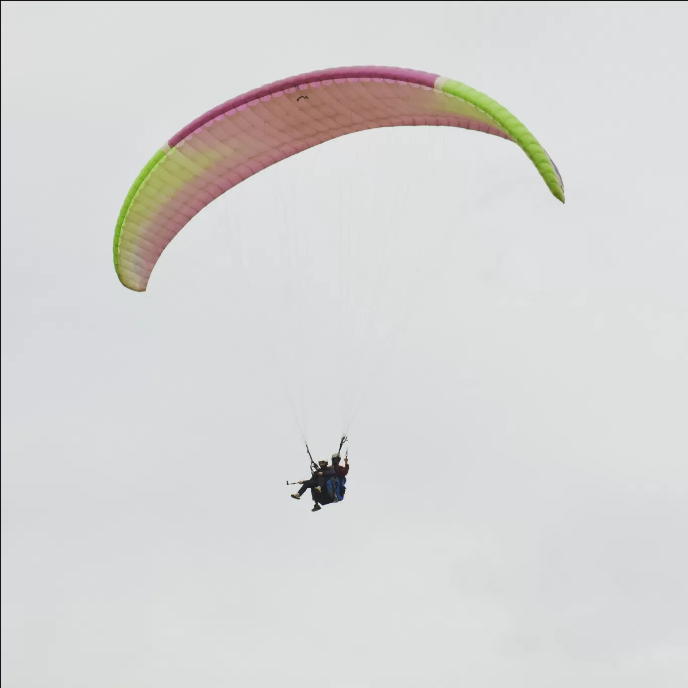 Photo of Bir Billing Paragliding By Sukrit Dhingra