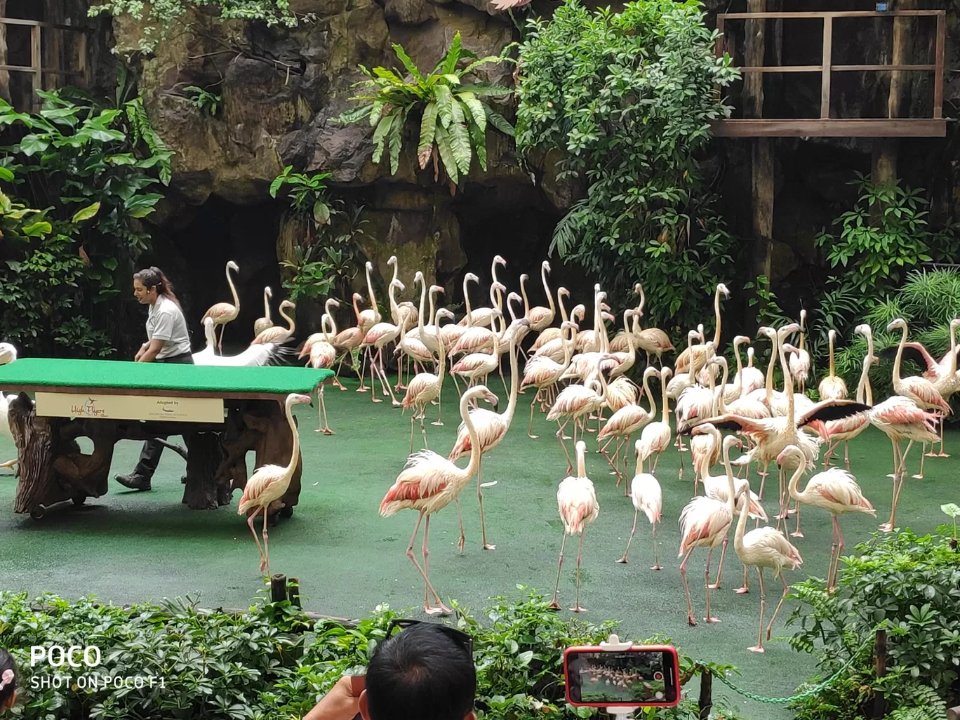 Photo of Jurong Bird Park By abhishek roy