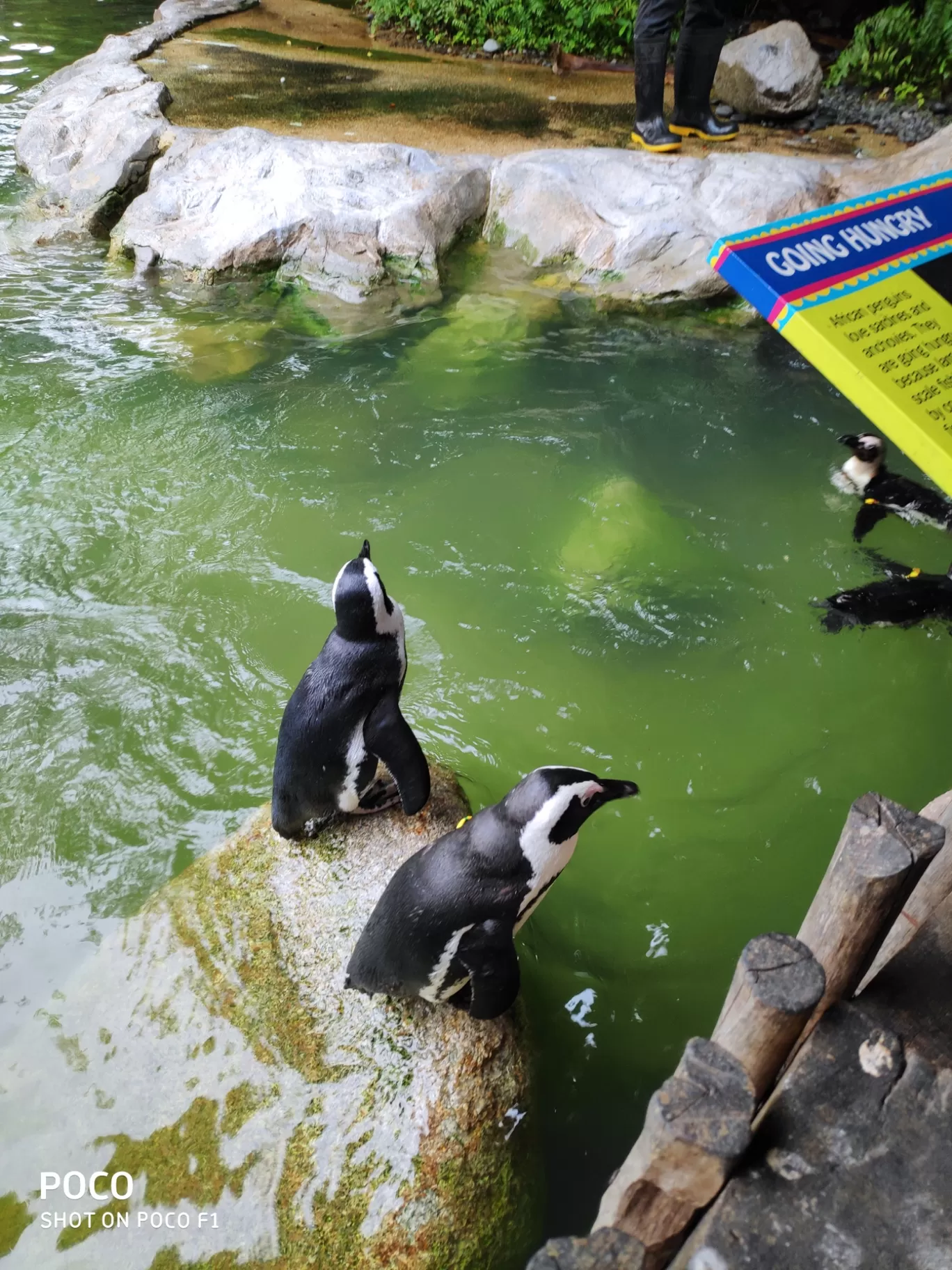 Photo of Jurong Bird Park By abhishek roy