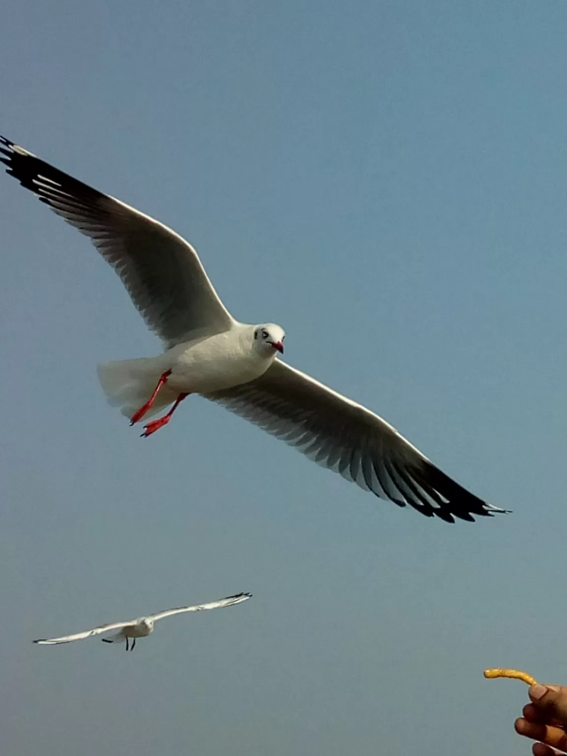 Photo of Alibag By Saili Parab