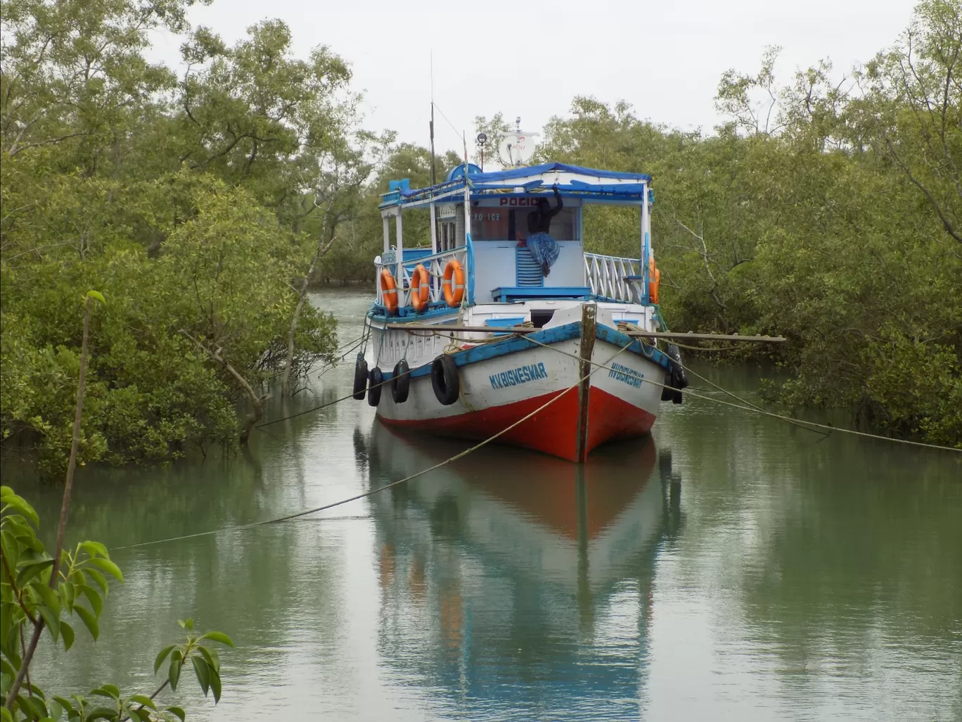 Photo of Sundarban Wild Safari By Akki Sangwan