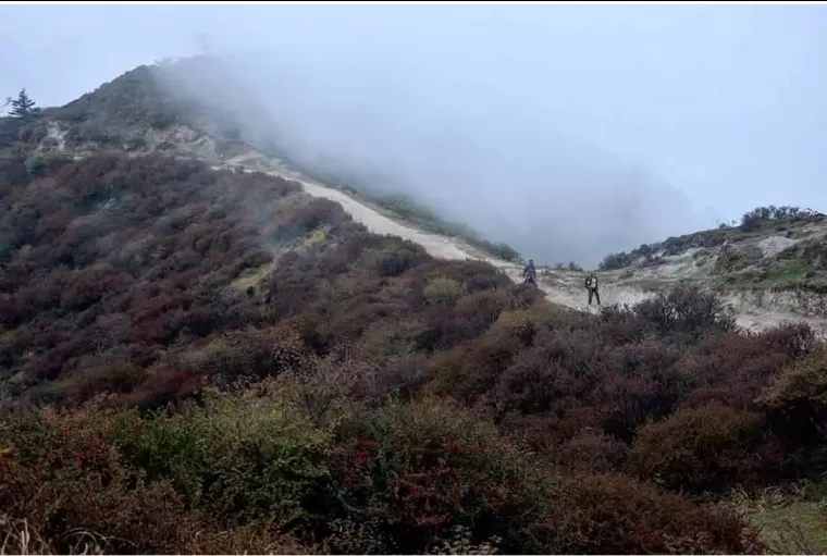 Photo of Sandakphu By sandip mitra