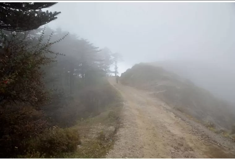 Photo of Sandakphu By sandip mitra