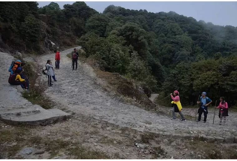 Photo of Sandakphu By sandip mitra