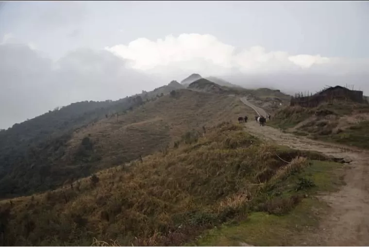 Photo of Sandakphu By sandip mitra