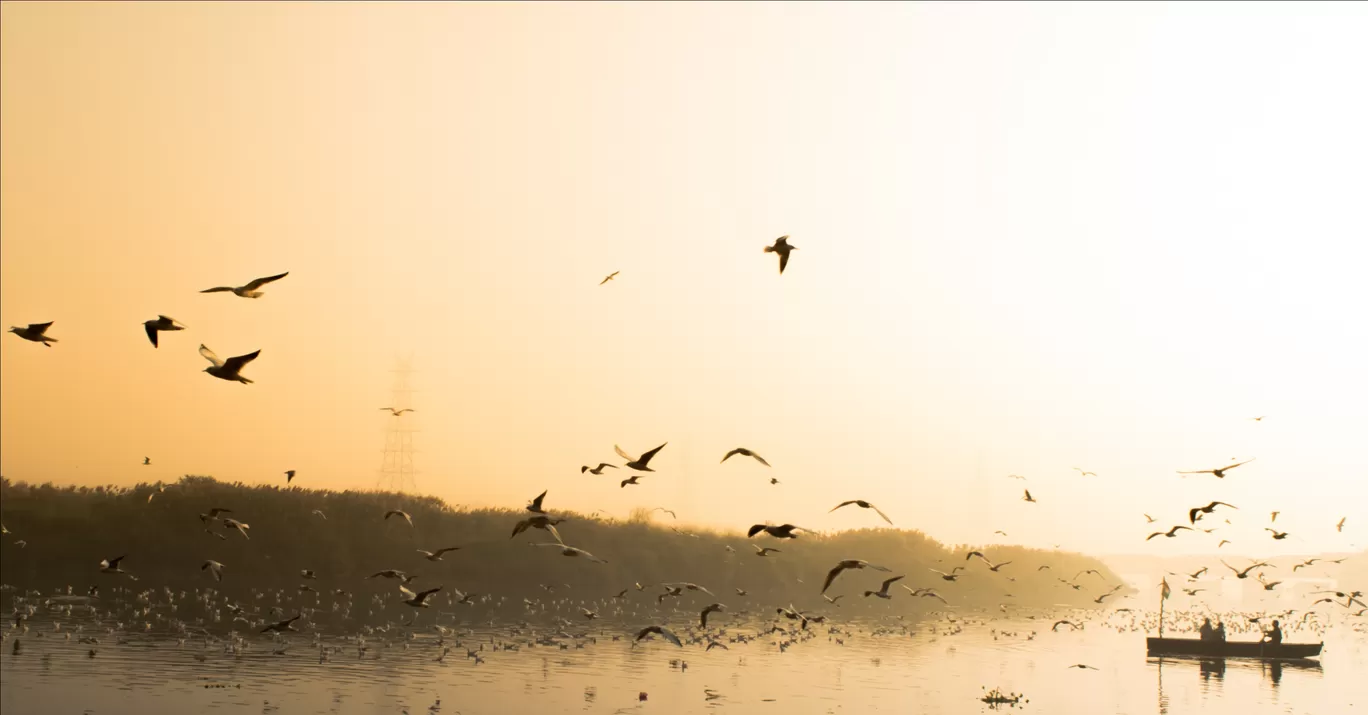 Photo of Yamuna Ghat By Rao Kamal