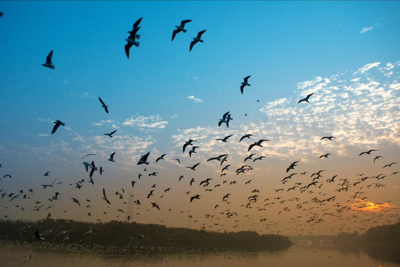 Photo of Yamuna Ghat By Rao Kamal