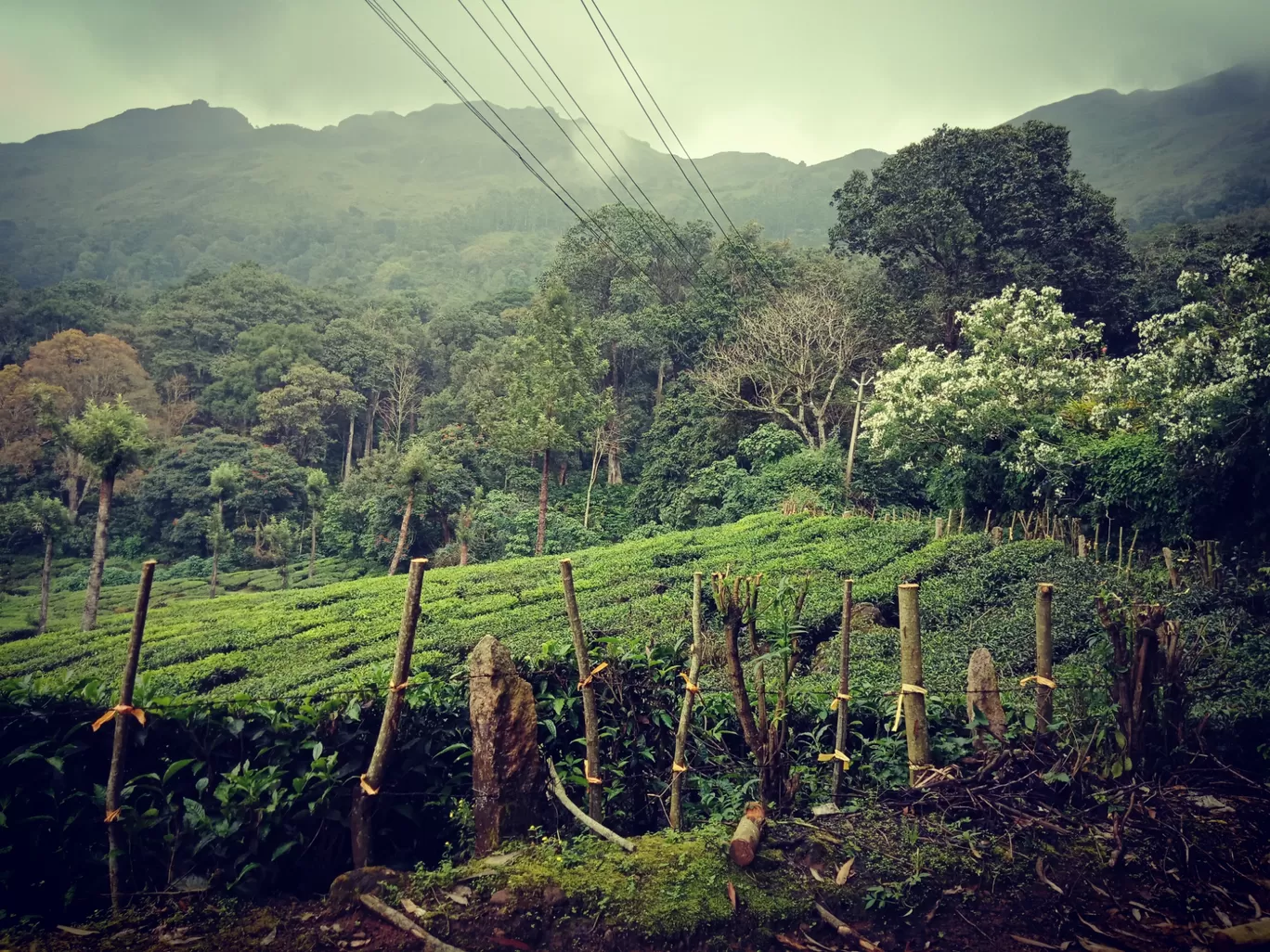 Photo of Pothamedu View Point By Siyadh Suneer