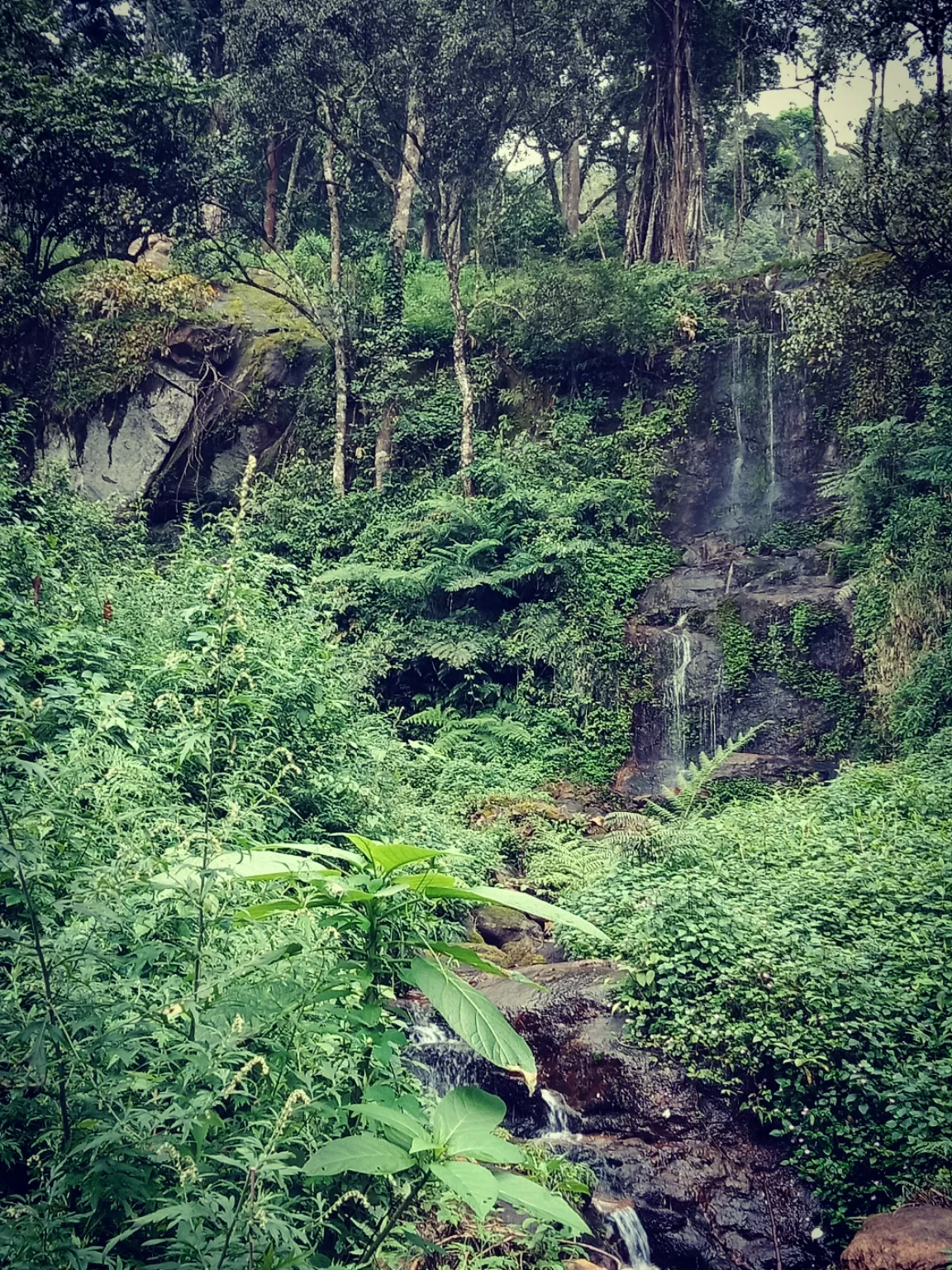 Photo of Pothamedu View Point By Siyadh Suneer