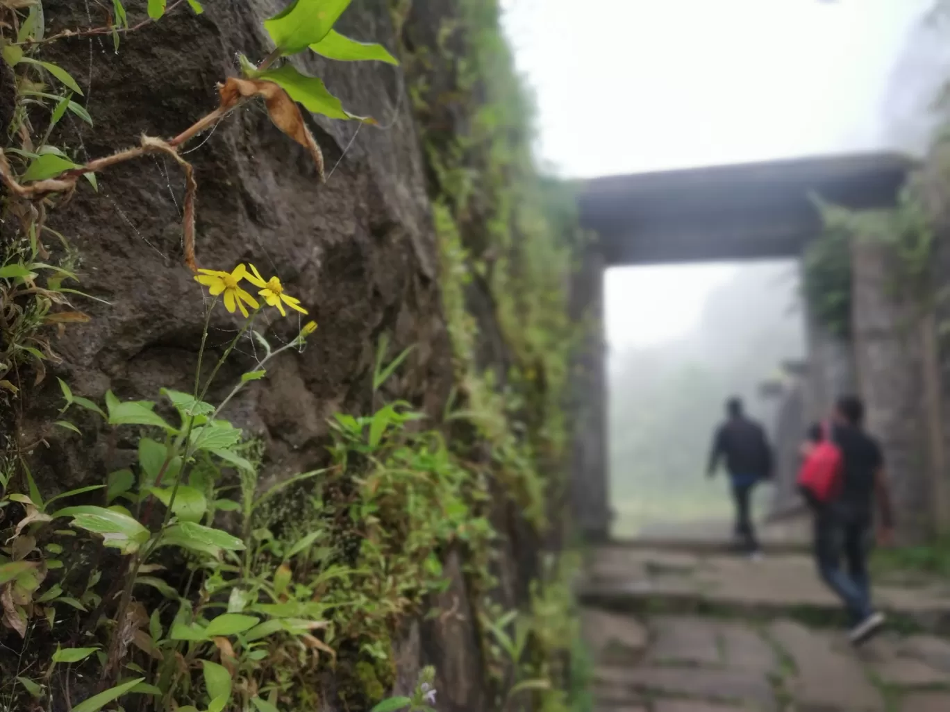 Photo of Kavaledurga Fort By Ravi R Prabhu