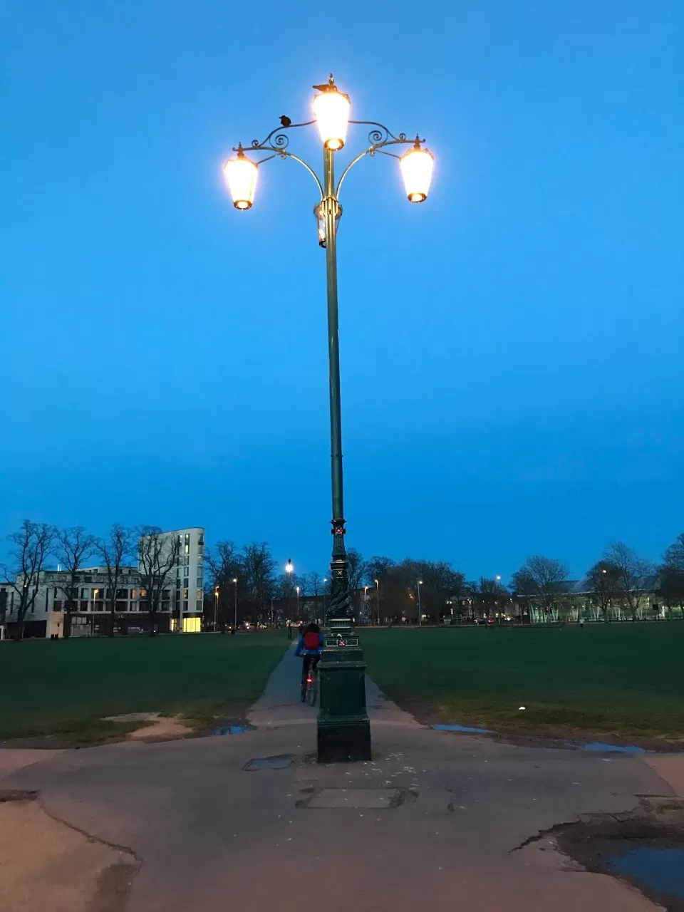 Photo of Cambridge By HAPPY FACE