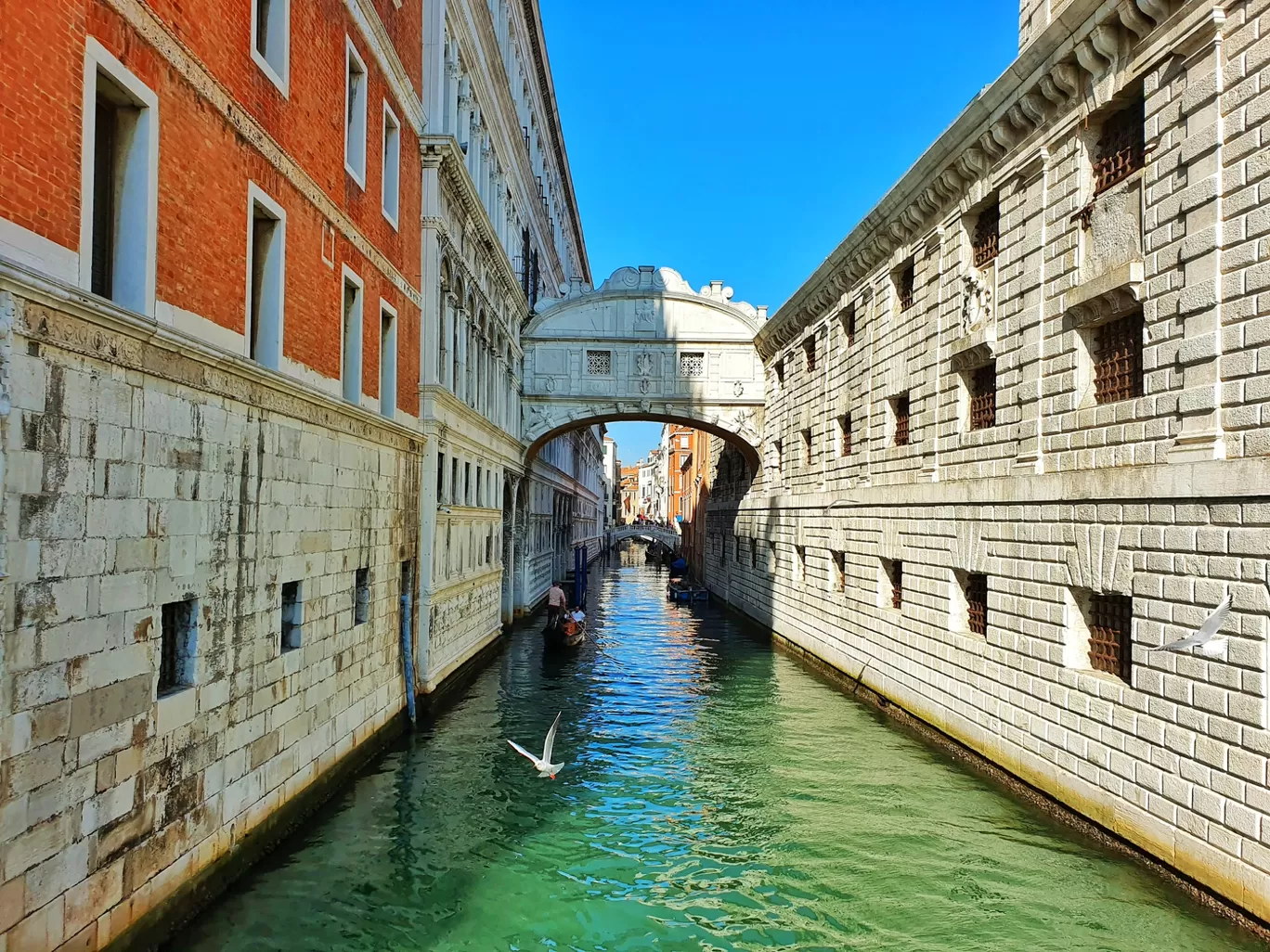 Photo of Venice By Shwetha Holla