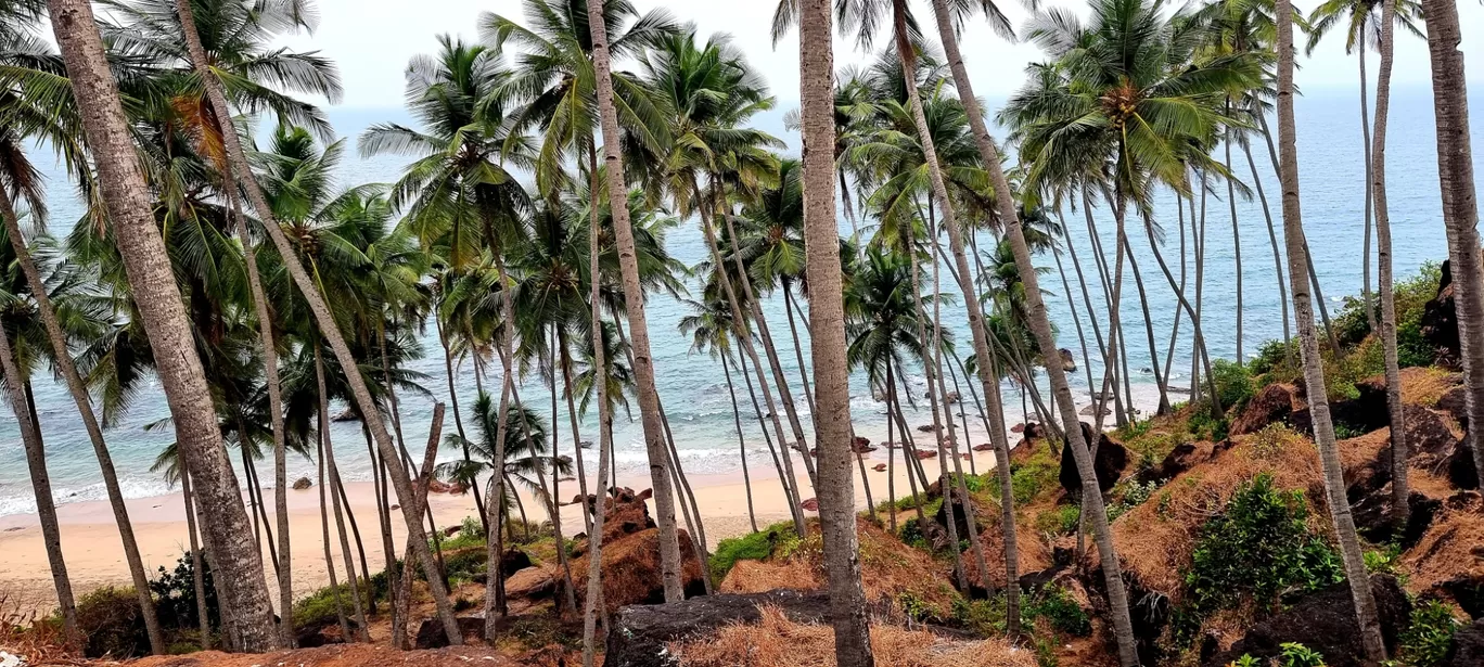 Photo of Cabo de Rama Beach By Shwetha Holla