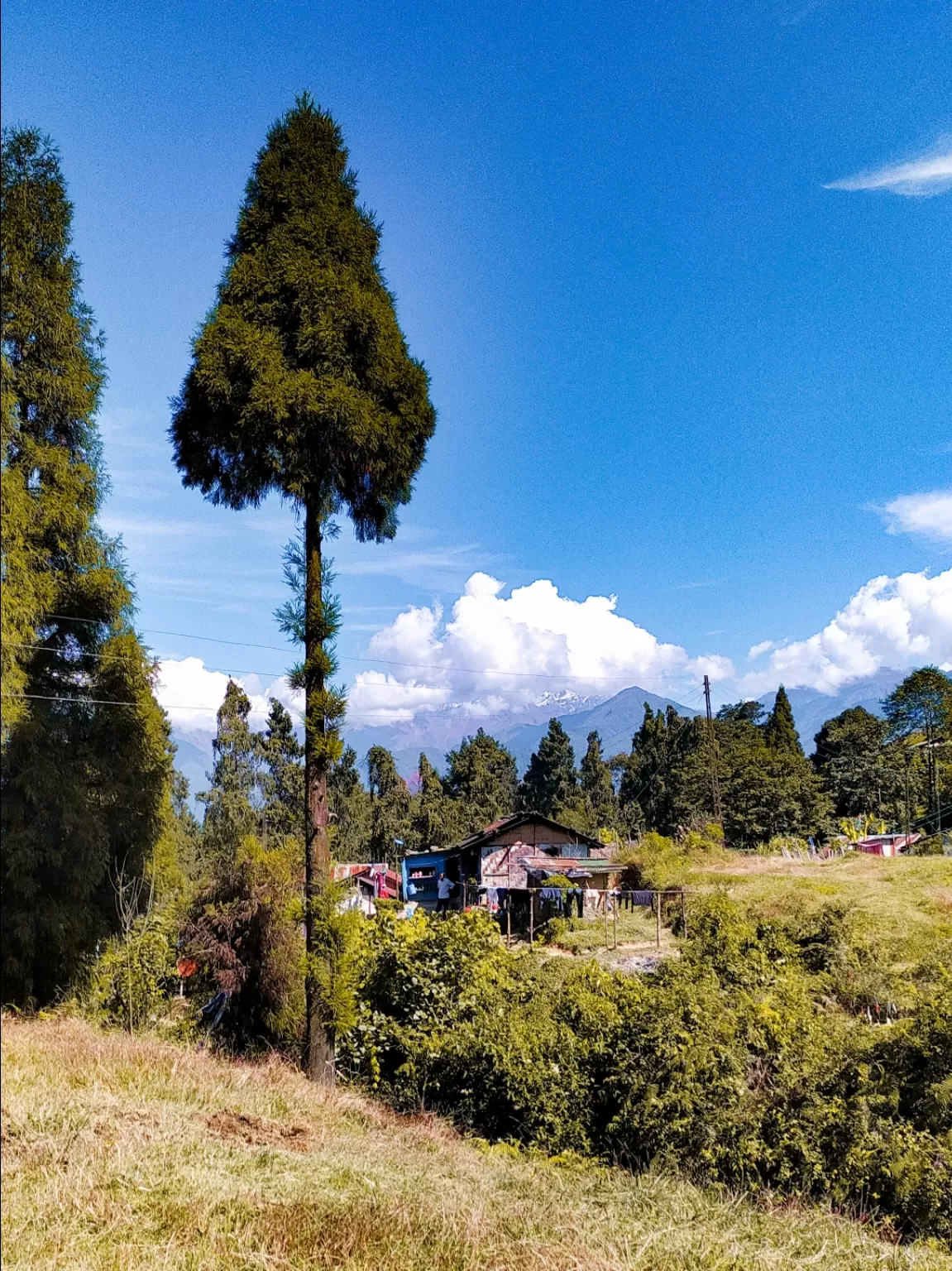 Photo of Sikkim By Kabita