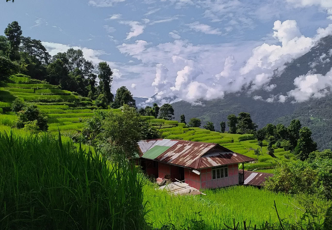 Photo of Sikkim By Kabita